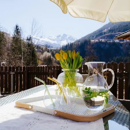 Mit Sauna 度假居 *