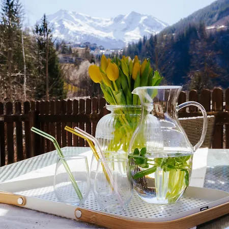 Mit Sauna * 巴德加斯坦